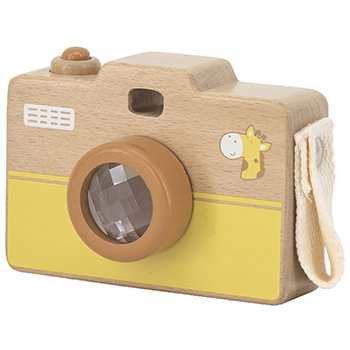 A Minha Primeira Camera Fotografica Ambarsciense