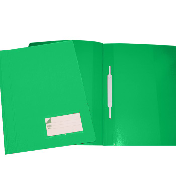 Classificador Plast.Capa Opaca Roma263.02 Verde-Pack 10