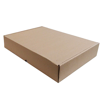 Caixa 455x330x055mm Cartão Simples P/Expedição Auto-Montável