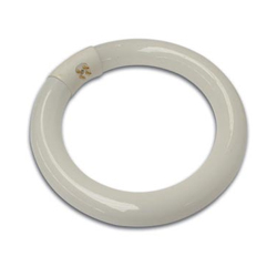 Lampada fluorescente circular 22W para VTLAMP2